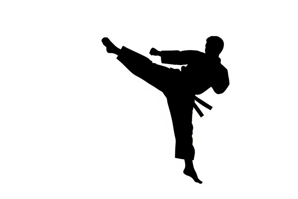 Dynamic martial arts kick silhouette, an Illustration by Amazin_art (Photo 33 of 36)