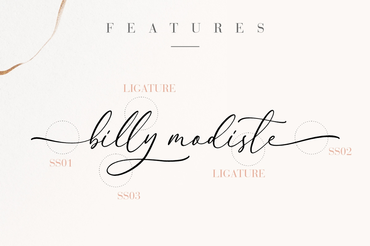 Anttelope Luxury Calligraphy, a Script Font by Creatype Studio (Photo 6 of 9)