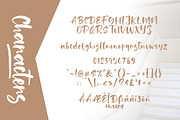 Tuckers Brush Font, a Script Font by khurasan (Thumbnail 7 of 7)