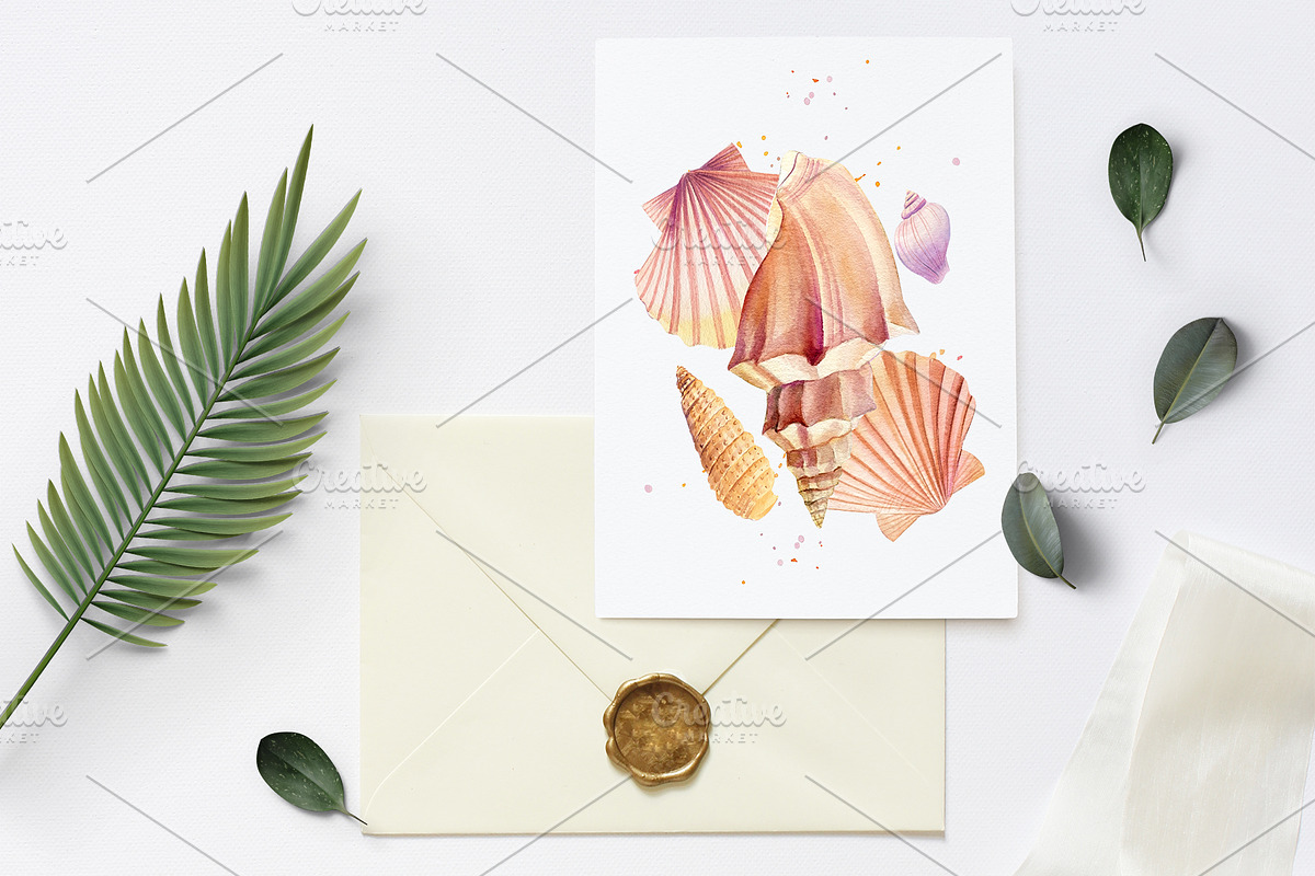 Watercolor starfish, shells, crabs, an Animal Illustration by Hanna Hryharenka (Photo 5 of 12)