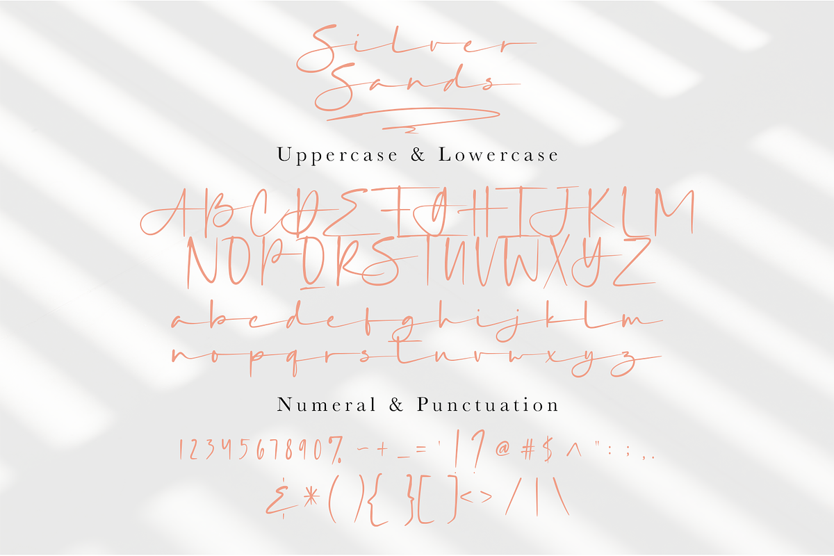 Silver Sands - Signature Font, a Script Font by Megi Satyo Widodo (Photo 14 of 15)