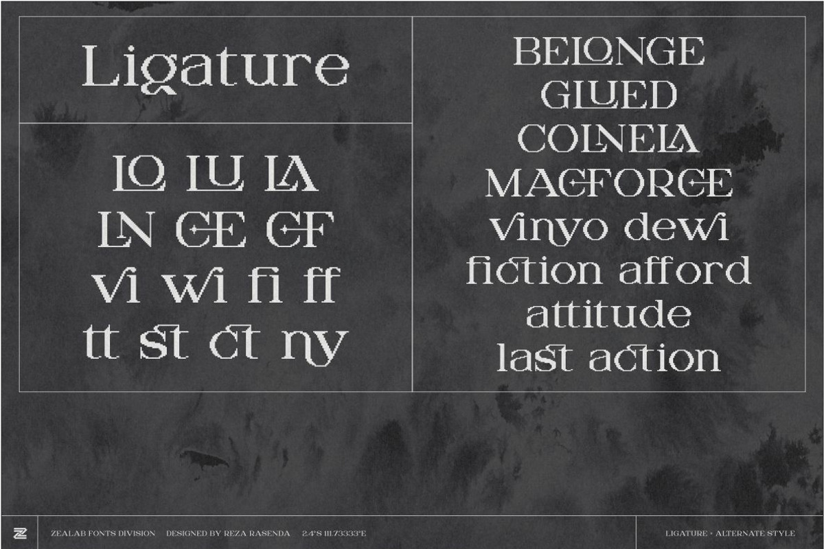 DIGITANY, a Serif Font by Bagerich Type Foundry (Photo 3 of 9)