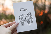 6 postcard mock ups (nature edition), a Print Template by Marie Smth (Thumbnail 2 of 8)