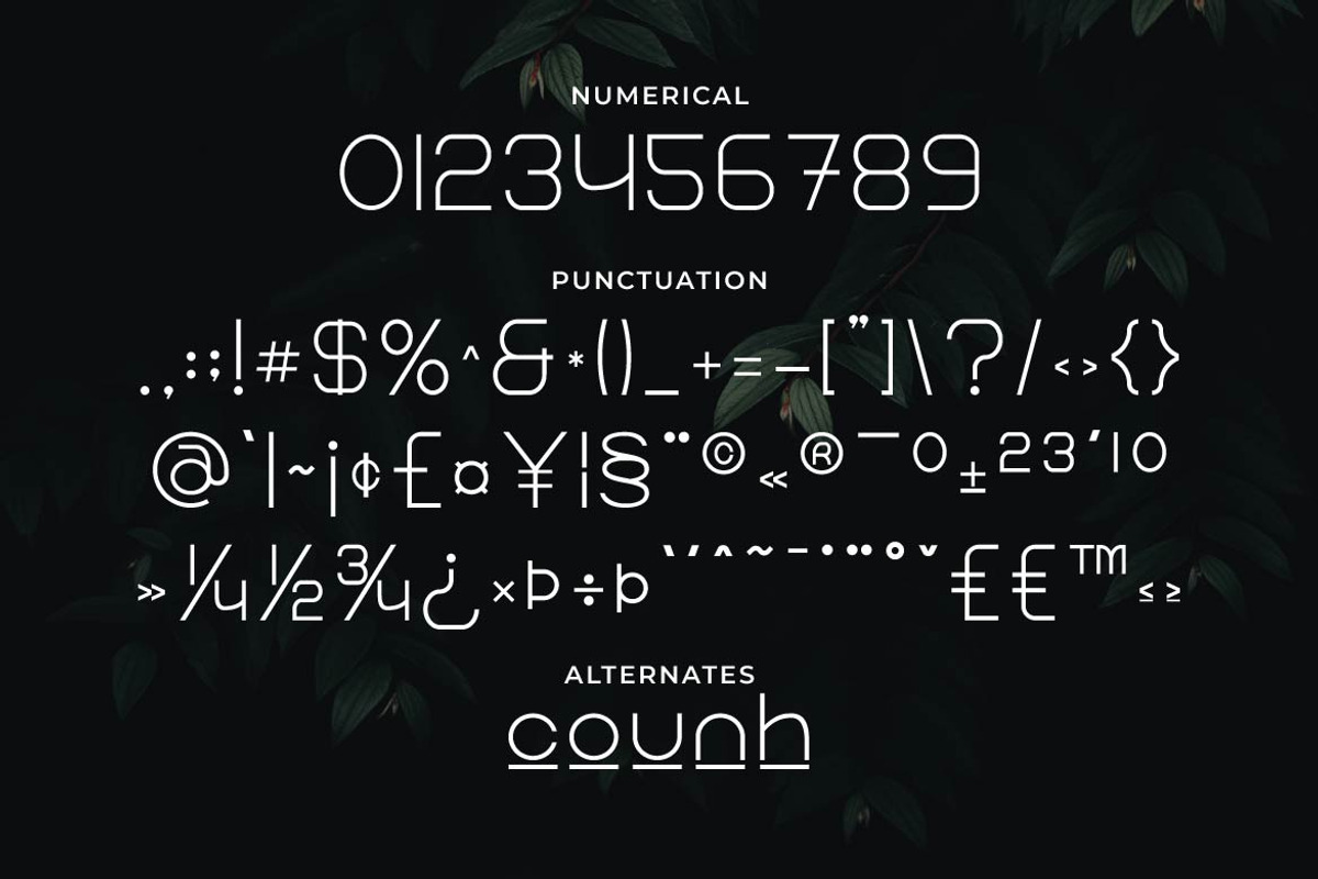 Wonderlast – Creative Display Sans, a Sans Serif Font by Artiveko (Photo 6 of 7)