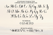 Zavier Signature, a Handwritten Font by FreshTypeINK (Thumbnail 7 of 8)