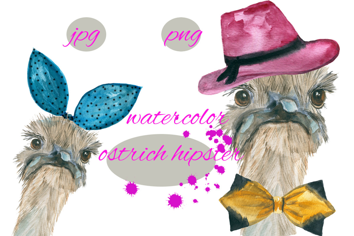 ostrich hipster, an Animal Illustration by JuliaFast