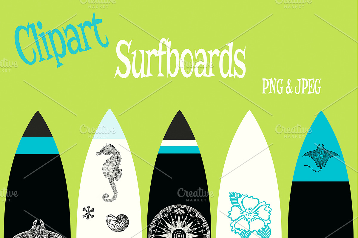 Sand & Sea Brush Clipart & Patterns preview 4