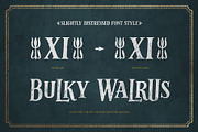 Silent Creek Vintage Serif, a Serif Font by Darumo Shop (Thumbnail 9 of 11)