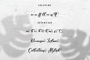 Gladiesk Poetriea, a Script Font by Integritype Studio (Thumbnail 6 of 15)