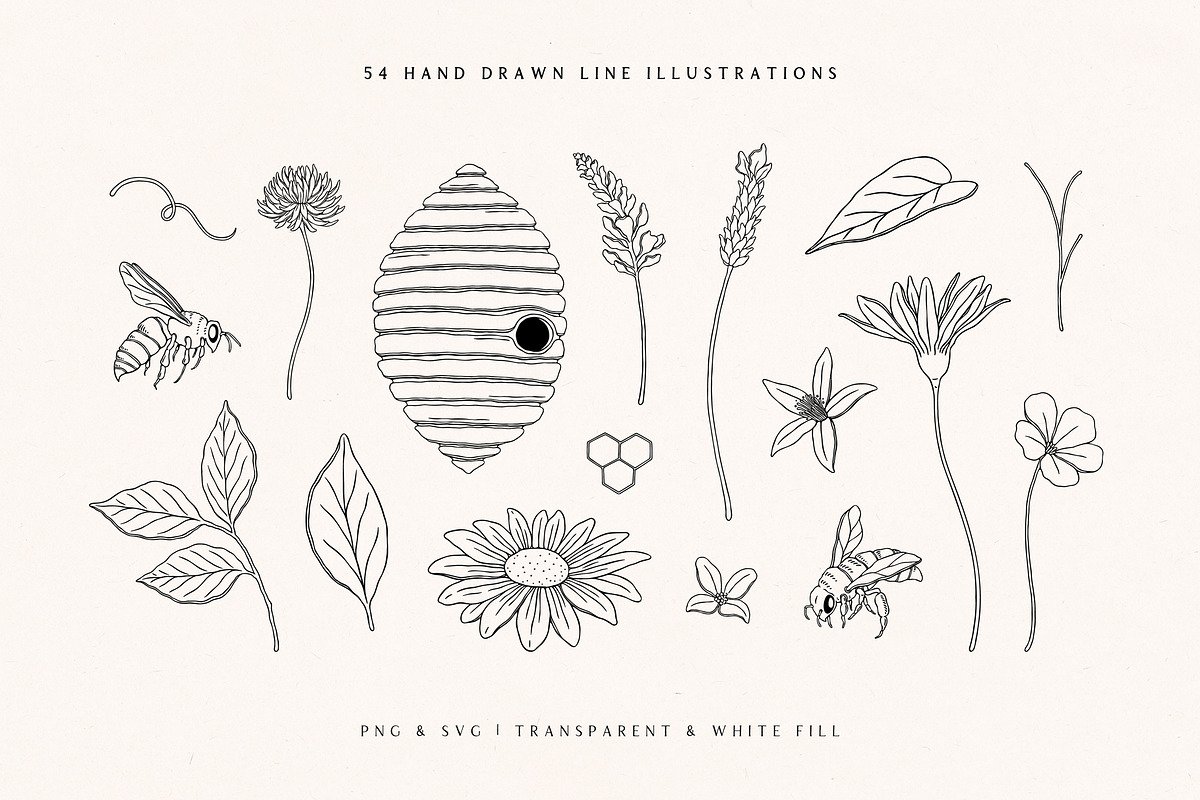 Wild Honey Vector Illustrations, a Decorative Illustration by rouxsupplyco (Photo 3 of 14)