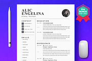 Resume/CV Bundle | 200+ for $29, a Resume Template by ResumeInventor (Thumbnail 165 of 207)
