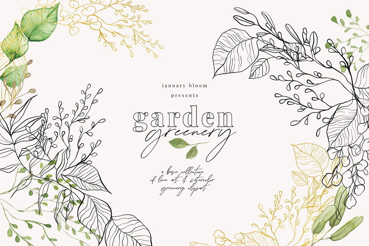 Line Art & Watercolour Greenery, an Illustration by January Bloom (Photo 1 of 22)