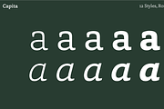 Capita, a Serif Font by Hoftype (Thumbnail 10 of 15)