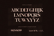 Gisela Serif Font, a Serif Font by Graphicxell (Thumbnail 10 of 10)