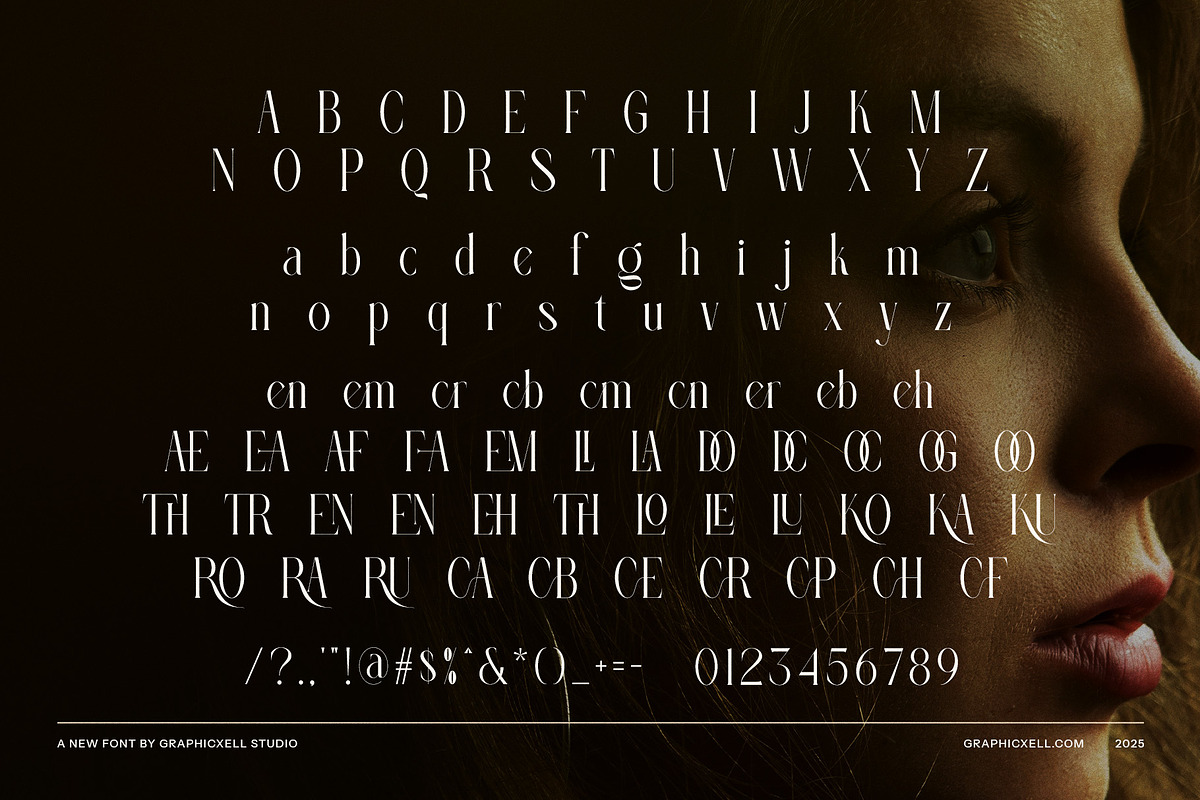 Aerok Elegant Serif Font, a Serif Font by Graphicxell (Photo 8 of 8)