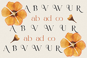 Valooron - Business Font, a Serif Font by RockboyStd (Thumbnail 10 of 12)