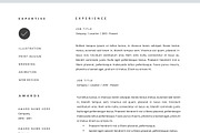 3 Page Resume Template | INDD + DOCX, a Resume Template by BlackDotResumes (Thumbnail 6 of 6)