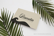 EMIRAD Olstd - Script, a Script Font by Olexstudio (Thumbnail 6 of 7)