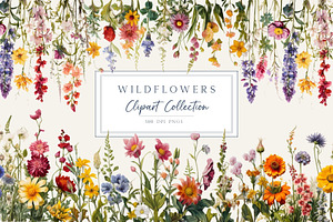 Wildflowers Borders Clipart