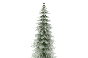 Canadian Spruce Tree Snow V1