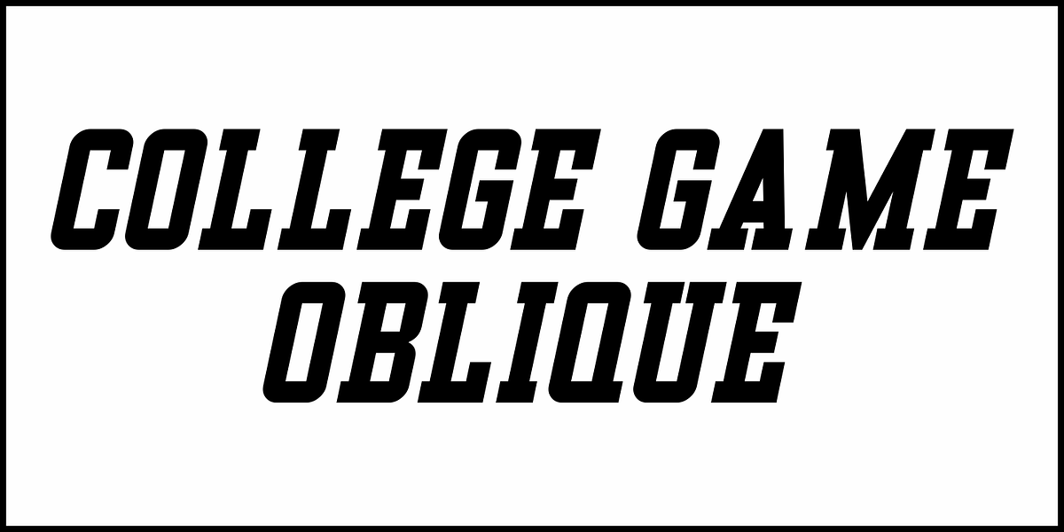 College Game JNL, a Slab Serif Font by Jeff Levine Fonts (Photo 4 of 5)