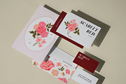 SCARLET RED - Flower Collection, an Object Graphic by Artflorara (Thumbnail 5 of 12)