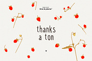 Organic Meadow Strawberries, an Object Graphic by line & plane (Thumbnail 7 of 7)