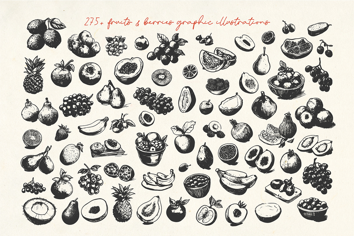 275+ Fruits & Berries Illustrations, a Food Illustration by La Petite Line Art (Photo 10 of 11)