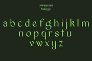 Calligrafia, a Blackletter Font by Teweka (Thumbnail 6 of 10)