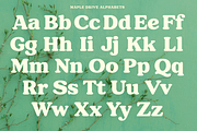 Maple Drive Retro Typeface, a Serif Font by Fenotype (Thumbnail 5 of 13)