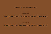 Candio – Cool Sans w. Unique Glyphs, a Sans Serif Font by Local Desk Designstudio (Thumbnail 2 of 9)