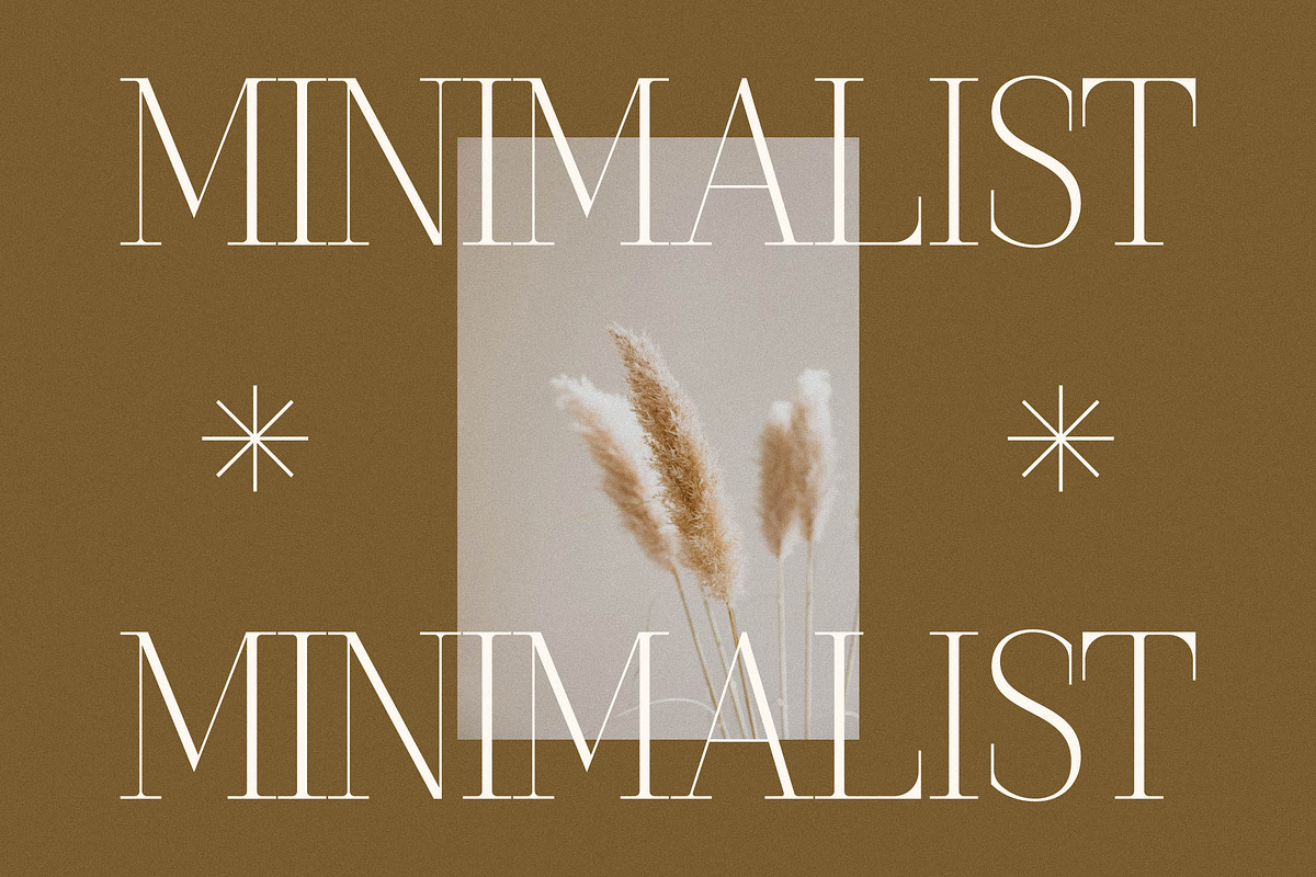 Seraphine Modern Font Serif, a Serif Font by Letterena Studios (Photo 7 of 15)