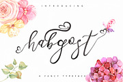 Habgost Script, a Script Font by oldschool designer co (Thumbnail 1 of 11)