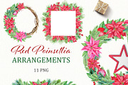 Christmas Red Poinsettia PNG, an Illustration by svetodesign (Thumbnail 1 of 5)