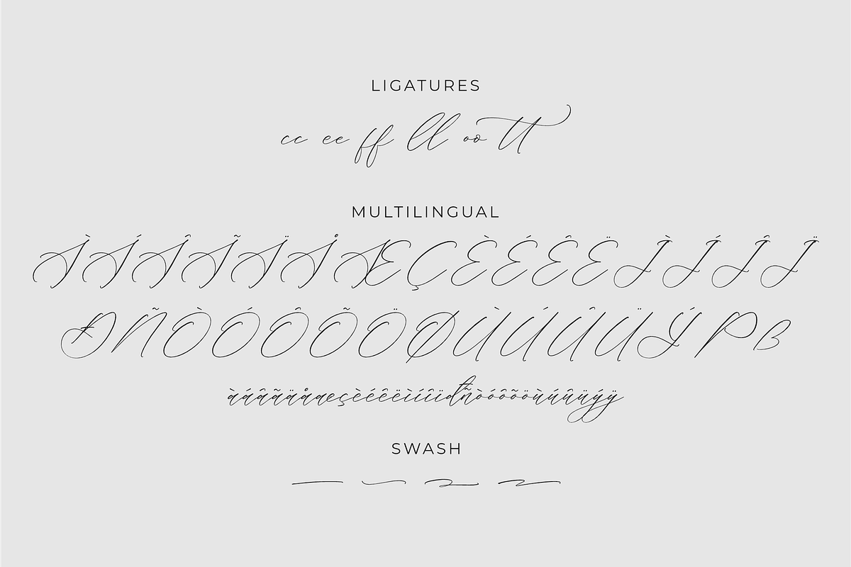 Liontinela Realise Chic Calligraphy, a Script Font by Storytype Studio (Photo 14 of 15)