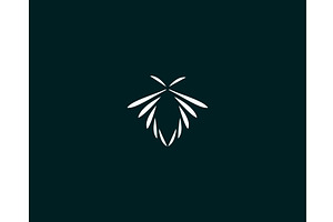 Abstract Butterfly Logo. Creative