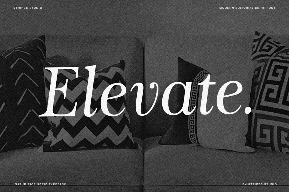 The Stripes Editorial + Italics, a Serif Font by Stripes Studio (Photo 23 of 23)