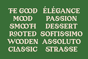 SFC Longyards, a Serif Font by Skilline Supply Co. (Thumbnail 9 of 10)