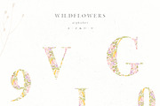 Wildflowers, an Illustration by Blossom (Thumbnail 9 of 9)