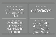 Kanela, a Serif Font by Kenrichi (Thumbnail 8 of 9)