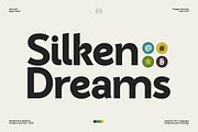 GC Ralinka – Confident Sans Form, a Sans Serif Font by Glyphonic (Thumbnail 5 of 16)