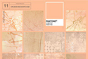 Peach Fuzz, a Background Graphic by Collection by VY (Thumbnail 3 of 8)