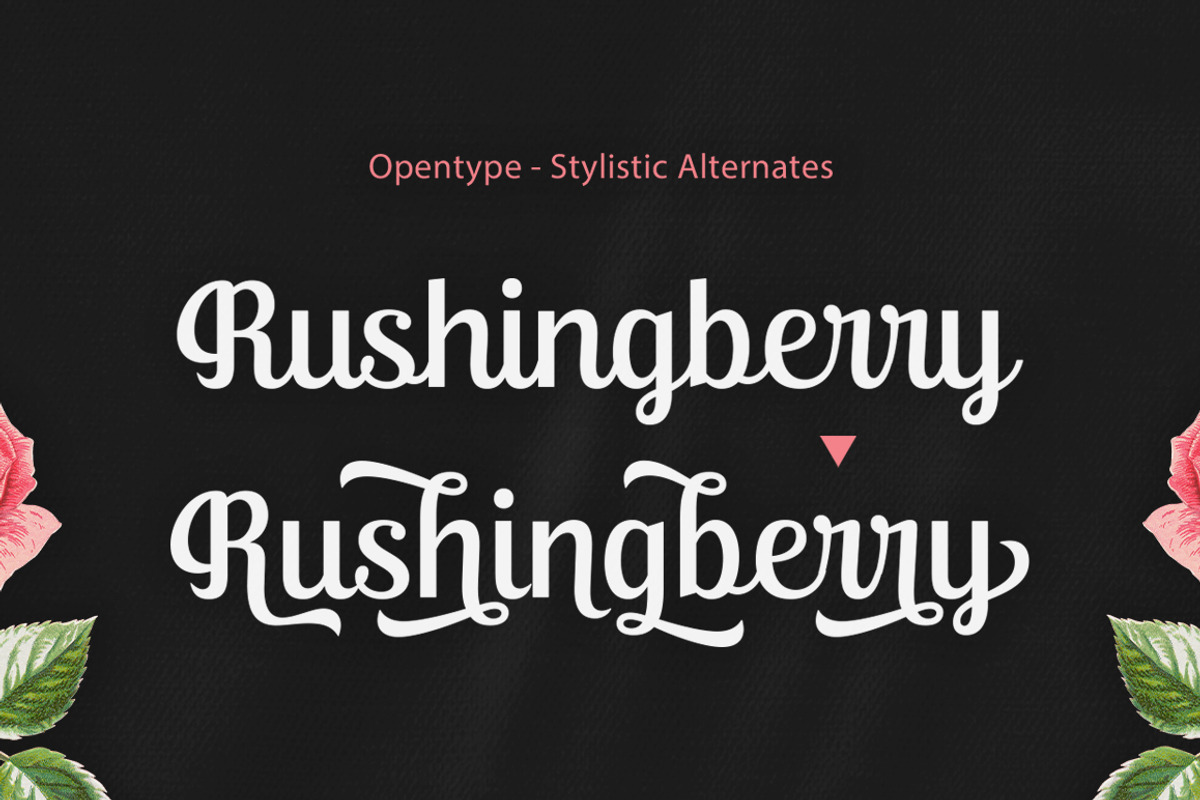 Ralsteda Font Family, a Script Font by Seniors (Photo 4 of 18)