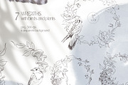 FOREST SONG birds sketches, an Animal Illustration by Yuliia Lashevska (Thumbnail 6 of 15)