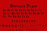 Buffalo Plaid, a Serif Font by crystal.baier (Thumbnail 2 of 3)