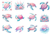 Coastal Sea Turtle Clipart, an Illustration by Dream Creation (Thumbnail 4 of 6)