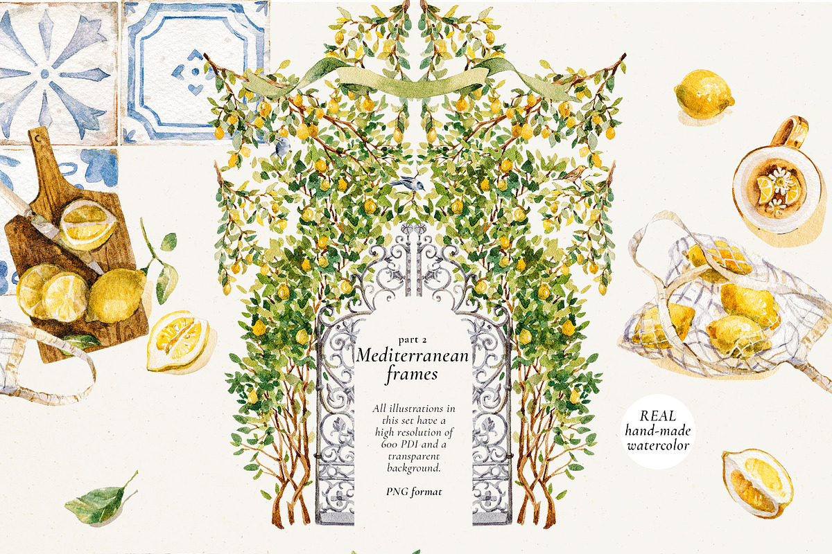 Mediterranean Citrus Garden clipart, a Decorative Illustration by Pamyatka Shop (Photo 8 of 14)