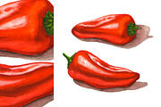 Hand-drawn Watercolor Mini Peppers, a Decorative Illustration by Margo Miller (Thumbnail 10 of 17)