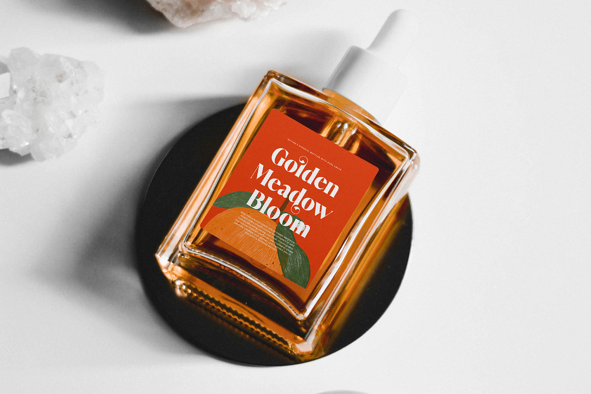 Royale Marigo Modern Serif Font, a Serif Font by timelesstype.co (Photo 15 of 20)