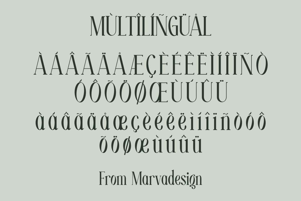 Moelina - A Modern Serif Font, a Serif Font by Marvadesign (Photo 6 of 8)